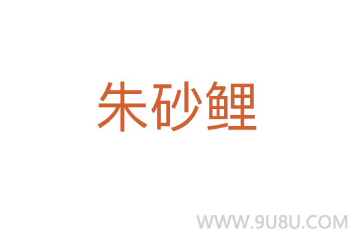 朱砂鲤
